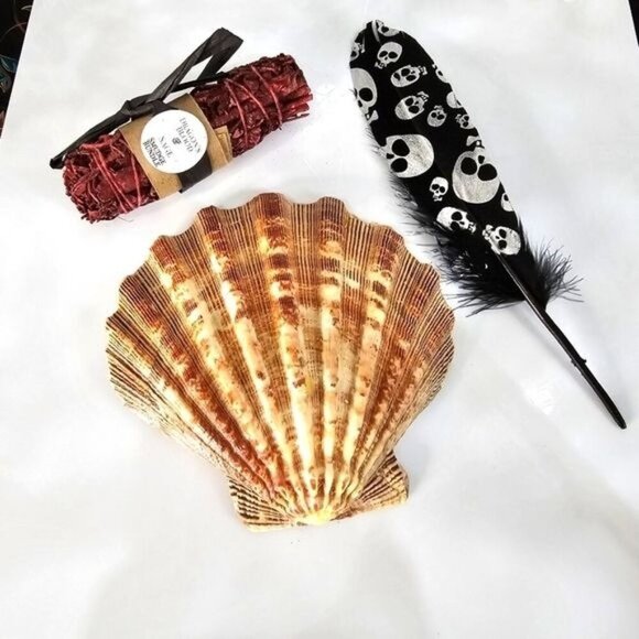 Dragon’s Blood Sage ✦ Tiger Shell ✦ Skull Feather ✦ Cleansing Smudge Set NWT - Picture 1 of 7